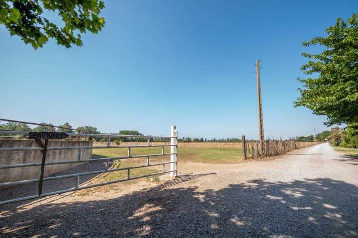 Entrée du champ menant à la Manade Occitane Marsillargues