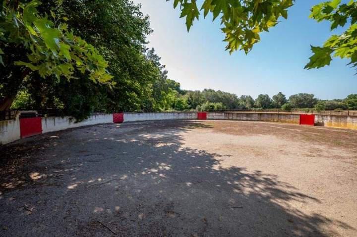 Arène de tauromachie Marsillargues