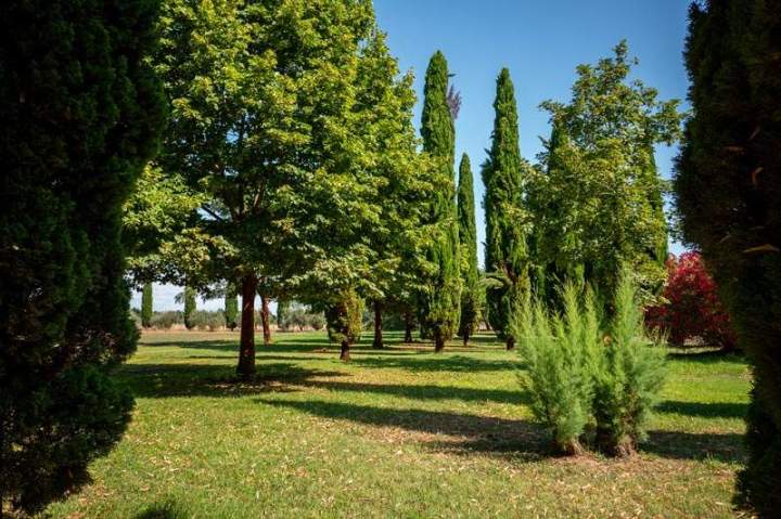 Jardin verdoyant de la Manade Occitane Marsillargues 
