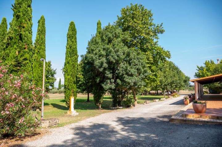 Allée de gravier est bordée d'arbres matures Marsillargues