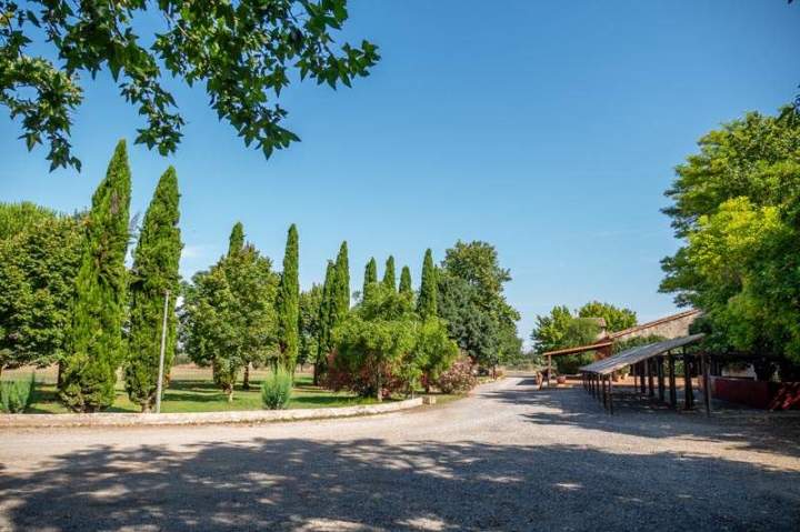 Allée d'entrée de la Manade Occitane Marsillargues